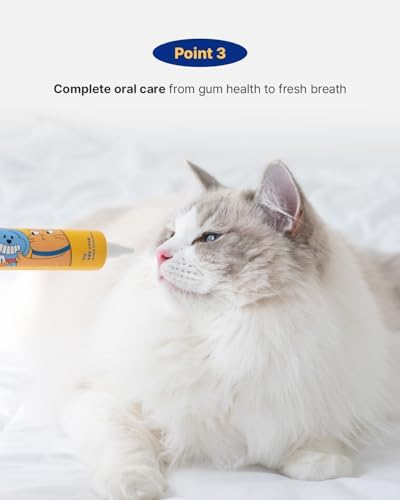PETHROOM Pet Dental Solution Toothpaste for Dog & Cat, Sweet Potato Flavor