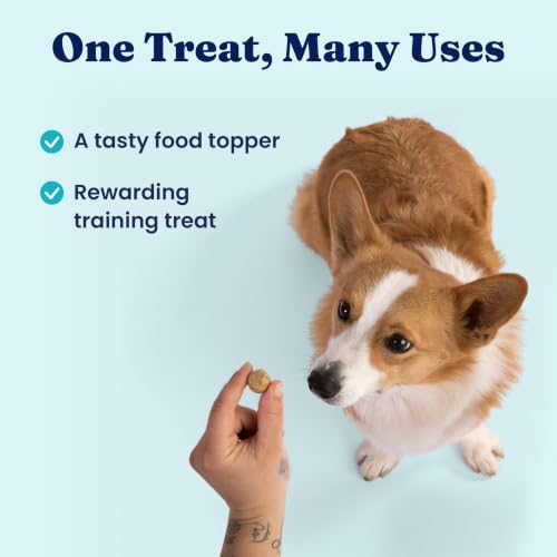 Solid Gold Freeze Dried Dog Food Topper & Treats Chicken Picky Eaters 1.5oz