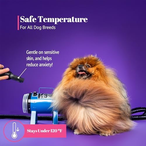 Electric Cleaner Company K9 Fluffer Dog Dryer – Powerful, Portable Grooming Blower for Dogs and Pets, Lime Green
