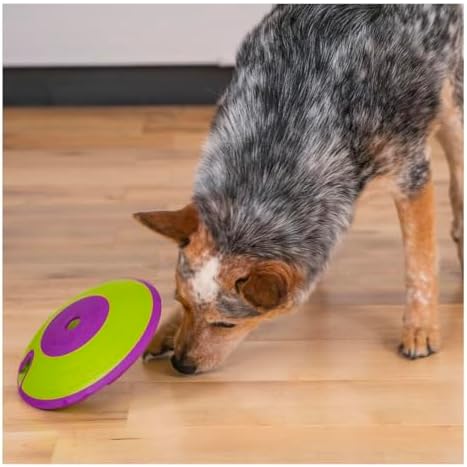 Interactive Dog and Cat Games Treat Hiding Challenge Mental Stimulation with Rewards (7.5 Inch Treat Maze Game)