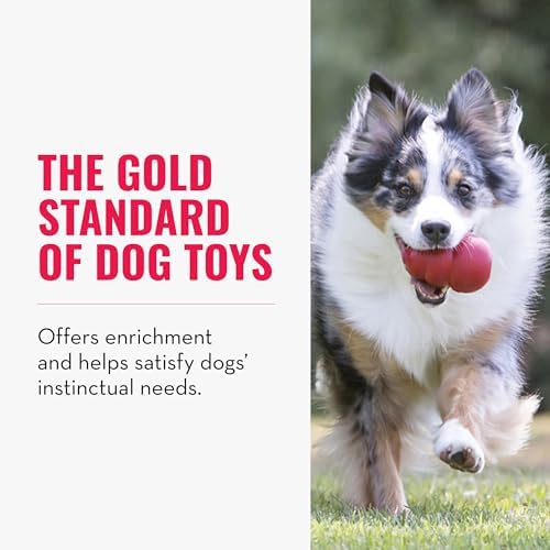 KONG Classic Stuffable Dog Toy, Natural Rubber Chew, for Extra Small Dogs | Treat-Filling Fetch & Chew Toy with Erratic Bounce, Made from KONG Durable Natural Rubber for Extended Playtime