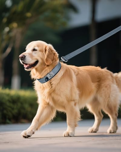 Joytale Reflective Dog Collar for XLarge Dogs with Wide Padding, Gray