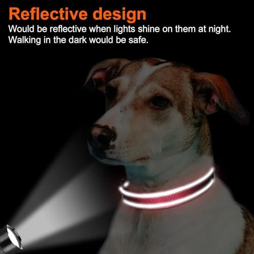 Joytale Reflective Dog Collar, Adjustable Neoprene Padded, Red S