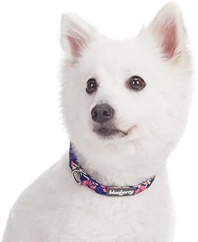 Blueberry Pet Made Well Profound Floral Print Adjustable Dog Collar in Navy Blue, X-Small, Neck 7.5"-10"