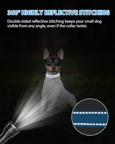Joytale Feather-Light Puppy Collar for Extra Small Dogs, 3/8", Sky Blue
