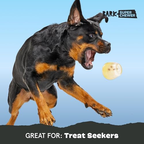 BarkBox Tipsy Toast Glass - for Medium to Large Dogs | Treat Dispensing Dog Toys - Puppy and Pet Toys