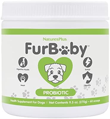 NaturesPlus FurBaby Probiotic for Dogs - 9.5 oz - Supports Digestive, Heart, Liver & Immune Health - 60 Servings
