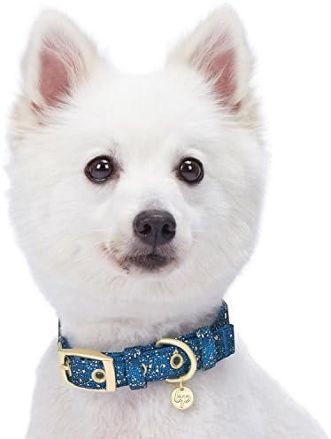 Blueberry Pet Gold Stamping Lace Adjustable Dog Collar in Classy Navy, Neck 9-12.5", for Small Breed