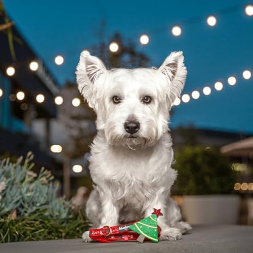 Blueberry Pet Festive Christmas Tree & Snowman Dog Collar, Small Adjustable 12"-16", Eco-Friendly Glitter Décor Holiday Collar for Small Dogs