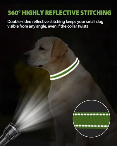 Joytale Feather-Light Dog Collar for Extra Large Dogs, 1 1/4", Green