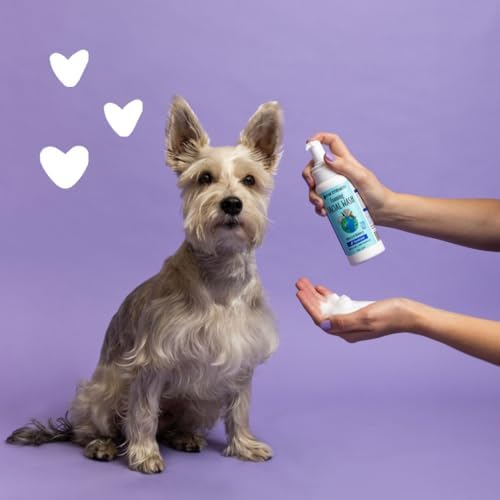earthbath, Foaming Facial Wash - Dog Face Wash, Hypoallergenic, Tear Free Formula, Sulfate & Paraben Free, Cruelty-Free, Vegan, Gluten-Free, Bilberry & Blueberry Facial for Dogs & Cats - 8 Oz