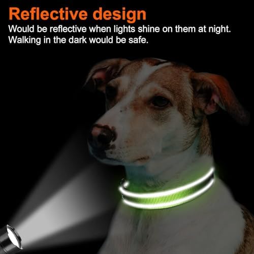 Joytale Reflective Dog Collar, Adjustable Neoprene Padded, Green XS