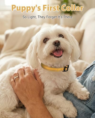 Joytale Feather-Light Dog Collar for Small Dogs & Puppies, 5/8", Khaki