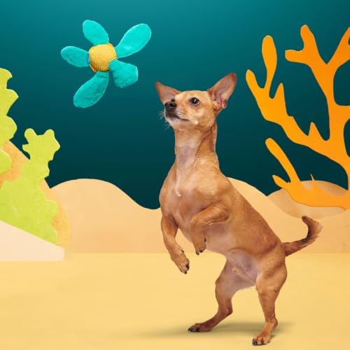 BarkBox Stevie Sea Turtle Dog Toy - Extra Small to Small Dogs | Plush Sea Turtle Toy with Whip-N-Flip Fins, Squeaker and Crinkle | Fetch and Thrash | 9-20 lbs