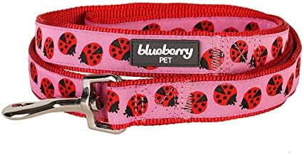 Blueberry Pet Essentials 2 Patterns Durable Pink Webbing Ladybug Designer Dog Leash 5 ft x 5/8", Small, Basic Nylon Leashes for Dogs
