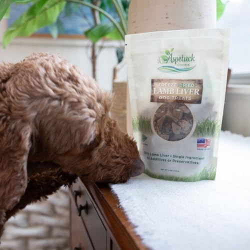 Freeze-Dried Liver Dog Treats | Single Ingredient | Made in USA (Lamb)