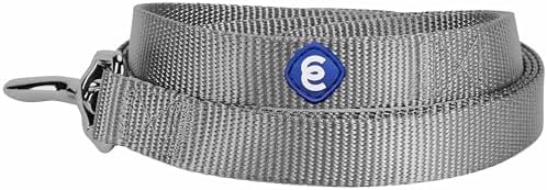 Blueberry Pet Essentials Matching Martingale Dog Collar and Leash Set in Flint Gray, Heavy Duty Nylon Adjustable Collars with 5 ft Leash for Small Dogs