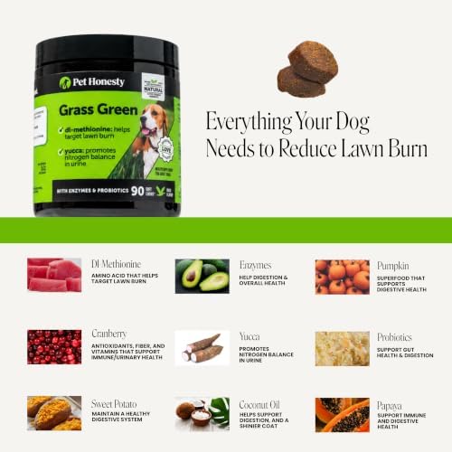 Grass Green Dog Urine Neutralizer for Lawns - Stops Yellow Burn Spots & Brown Grass - Lawn Saver Supplement with dl-Methionine, Probiotics & Digestive Enzymes - Green Grass Chews (Duck, 90 Ct)
