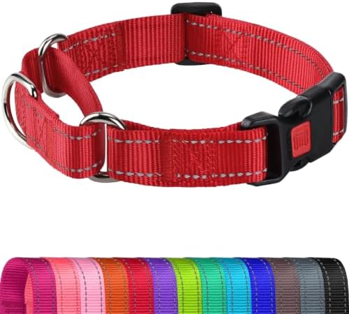 Joytale Martingale Collar for Dogs, Escape Proof No Pull, Red, M
