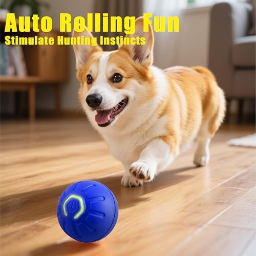 Interactive Self-Moving Pet Toy Ball - Motion-Activated Auto Rolling, Military-Grade Chew Resistant, USB-C Rechargeable for Small Dogs & Cats (Blue, Small
