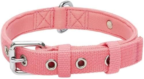 Blueberry Pet New Classic Modern Iconic Neoprene Padded Dog Collar Carnation Pink/Large