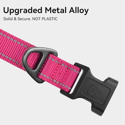 Joytale Reflective Dog Collar, Adjustable Neoprene Padded, Hotpink XS
