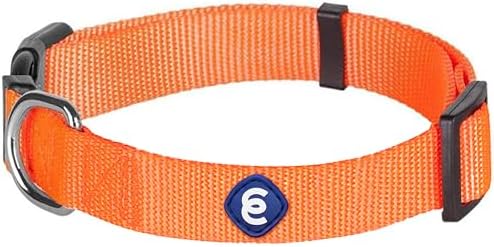 Blueberry Pet Essentials Florence Orange Adjustable Nylon Dog Collar for Small Dogs, Classic Solid Color Pet Safety & Style for Small Dogs