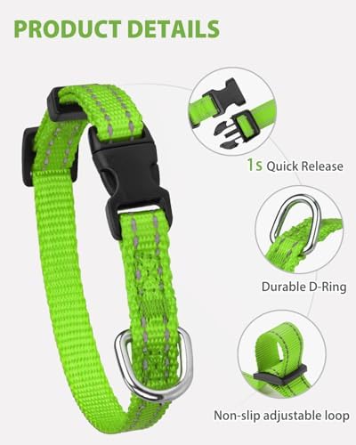 Joytale Feather-Light Puppy Collar for Extra Small Dogs, 3/8", Green