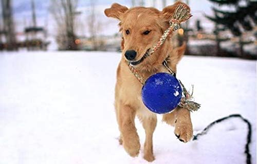 Jolly Pets Romp-N-Roll Rope & Ball Dog Toy, 6 in Medium, Blue | Rope-and-ball fetch toy in tough JollyFlex - won't deflate if punctured, floats, made in USA