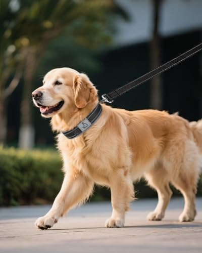 Joytale Reflective Dog Collar for XLarge Dogs with Wide Padding, Black