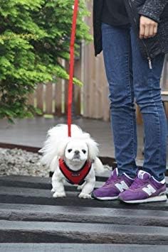 Puppia Soft Dog Harness No Choke Over-The-Head Triple Layered Breathable Mesh Adjustable Chest Belt and Quick-Release Buckle, Beige, XX-Large