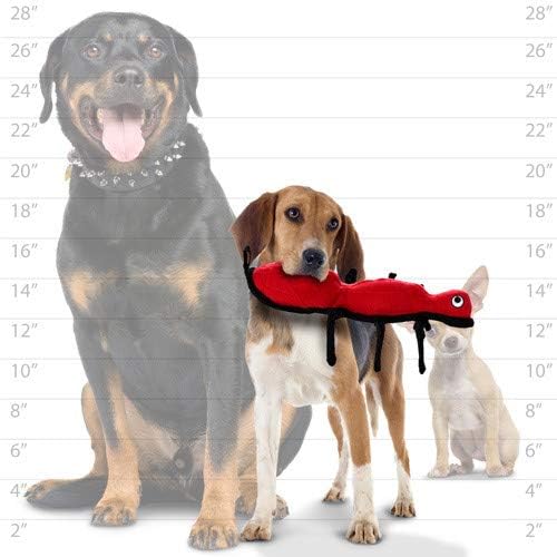 TUFFY® : 2 Pack Ant Dog Toy: Ultra Durable Plush Toy with Multiple Layers & Reinforced Seams, Washable and Floats, Original Construction