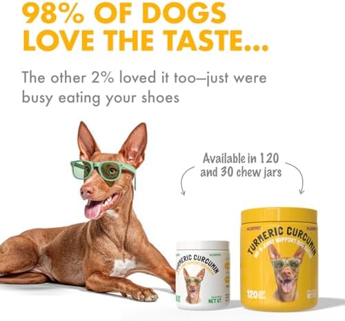 LEGITPET Turmeric Curcumin Hip & Joint Supplement for Dogs – Supports Mobility, Comfort & Overall Wellness – with Collagen & BioPerine – 30 Chews