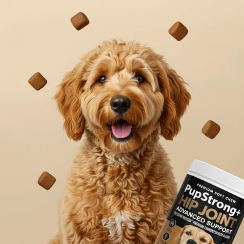 Pupstrong™+ Hip & Joint Support Soft Chews for Dogs – Powered by Polycan® Postbiotic – Supports Gut Health, Mobility, Joint Flexibility, Immune Health & Healthy Aging – 120 Chews