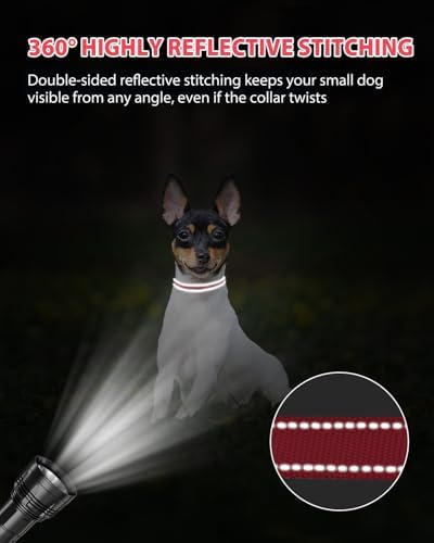 Joytale Feather-Light Puppy Collar for Extra Small Dogs, 3/8", Red