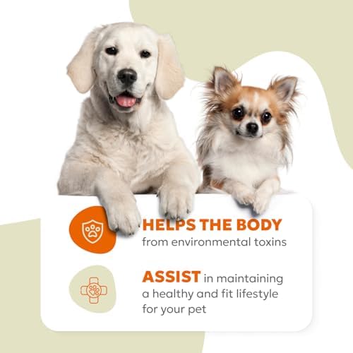 Daily 10-in-1 Dog Wellness Chews – Joint, Gut, Immune, Skin & Coat, Energy & Vitality Support – Glucosamine, Probiotics, Salmon Oil & Turmeric – 60 Soft Chews