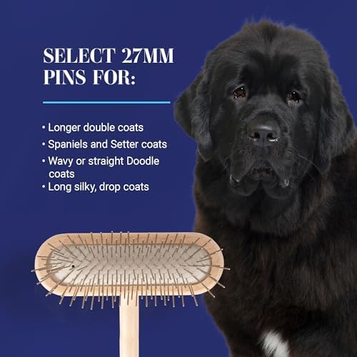 Chris Christensen Original Series 27 mm T-Brush, Stainless Steel, Brown