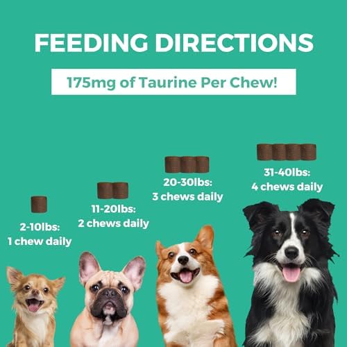 Progility Mini Daily Multivitamin for Small Dogs – Helps Support Immune, Heart, Eye, Brain & Gut Health with Taurine, Soft Chews with Probiotics (60 Count) | 60 Soft Chews, for small dogs, supports immune, heart, eye, brain & gut health, easy to feed