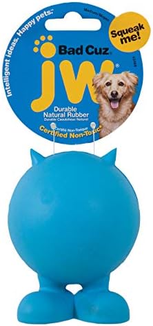 JW Pet Bad Cuz Dog Toy, assorted colors,Medium, Multi (43168)