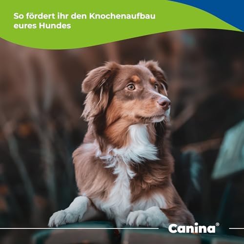 CALCIUMCARBONAT PULVER vet.