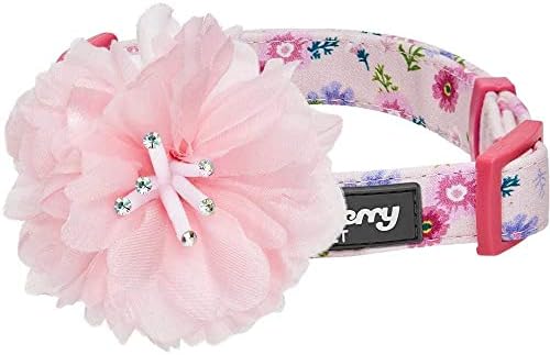 Blueberry Pet Floral Power Cosmos Designer Pink Adjustable Dog Collar with Detachable Pink Peony, Medium, Neck 14.5"-20"