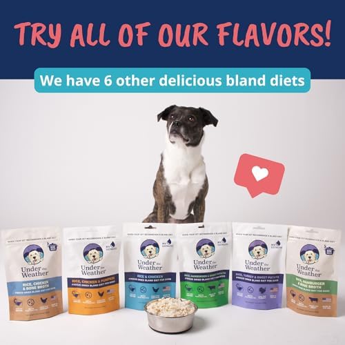 Under the Weather Bland Diet for Dogs | Easy to Digest Stomach Support for Sick Dogs | Contains Electrolytes, All Natural | 6 Pack - Turkey, Oatmeal, Sweet Potato & Slippery Elm - 6oz
