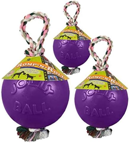 Jolly Pets Romp-N-Roll Rope & Ball Dog Toy, 8 in Large, Purple | Rope-and-ball fetch toy in tough JollyFlex - won't deflate if punctured, floats, made in USA