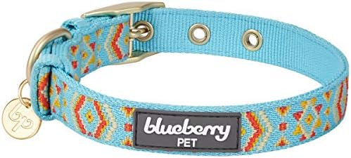 Blueberry Pet Southwestern Tribal Print Celeste Blue Adjustable Dog Collar with Metal Buckle, Neck 13-16.5", for Medium Breed