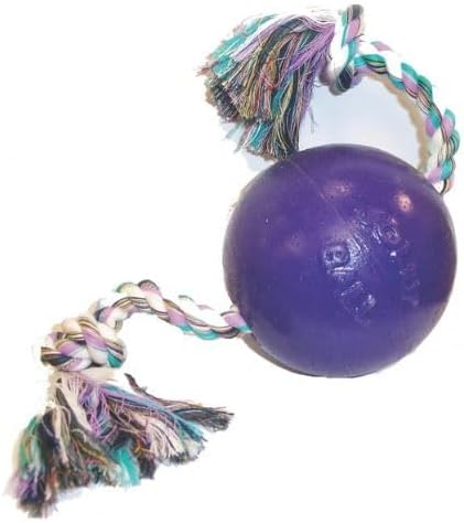 Jolly Pets Romp-N-Roll Rope & Ball Dog Toy, 4.5 in Small, Purple | Rope-and-ball fetch toy in tough JollyFlex - won't deflate if punctured, floats, made in USA