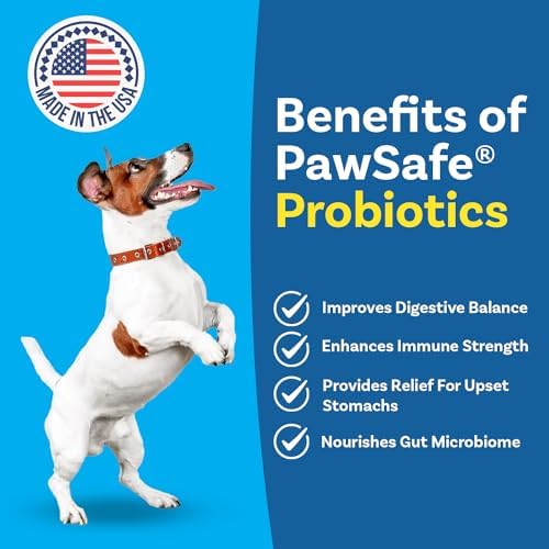 PawSafe® Dog Probiotics Soft Chews for Picky Eaters - USA Made, 120 Count - Digestive & Gut Health, Diarrhea, Gas Relief, Allergy & Itchy Skin Support - Natural with Pumpkin - Honey Chicken Flavor