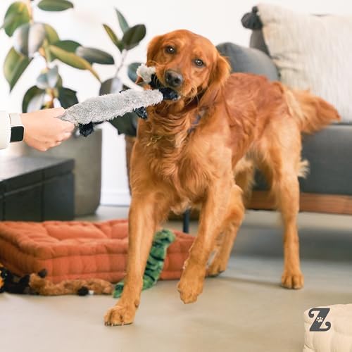 ZippyPaws Skinny Peltz No Stuffing Dog Toy Pack to Keep Them Busy - 18" | For Medium and Large Dogs, Squeaky Pet Toys, Unstuffed Chew Toys, Soft Plush Variety Pack, Desert Snakes