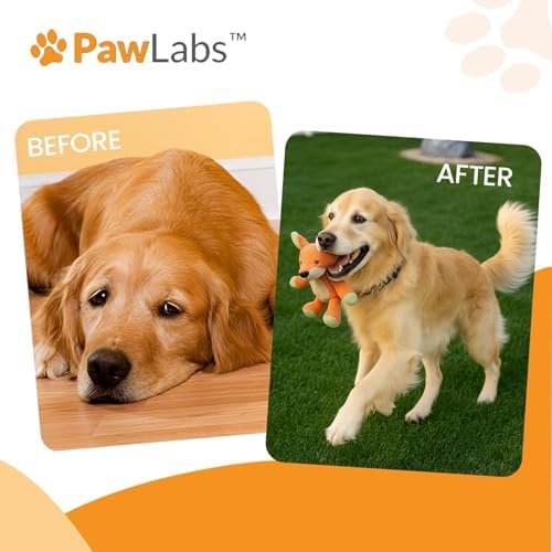 PawLabs Collagen Powder for Dogs - Collagen Type II from Chicken Sternum, Eggshell Membrane, Hyaluronic Acid, Vitamin E & C - Joint Health & Cartilage Support