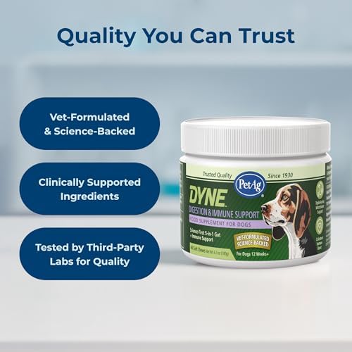 PetAg Dyne Digestion & Immune Support Soft Chews for Dogs | 60 Count