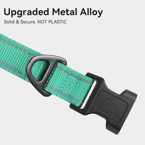 Joytale Reflective Dog Collar, Adjustable Neoprene Padded, Teal M